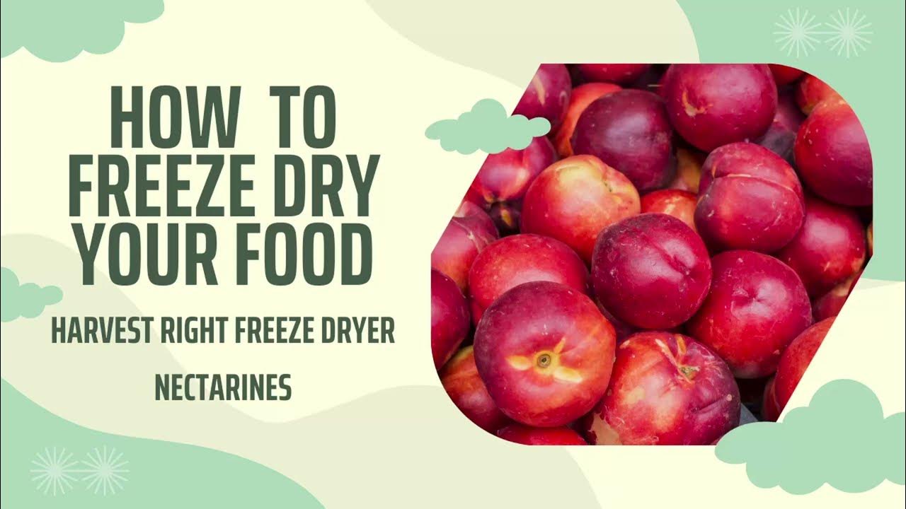 How to Freeze Dry Nectarine for long tern storage YouTube