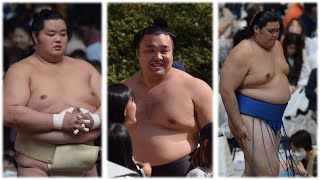 Kirishima dramatically improves; Onosato thrashes Kotozakura (Sumo News, May 7th)