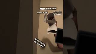 Please don’t copy dragons (read my comment) #dragonpuppets #dragonpuppetarmy #copiers #antiarttheft