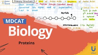 #MDCAT - Biology - Exclusive Live Lecture - Proteins