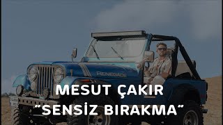 Mesut Çakır - Sensiz Bırakma Resimi