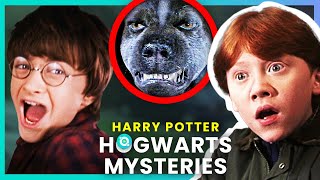 Harry Potter: The Secrets of Hogwarts Explained | OSSA Movies