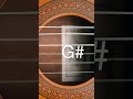 Drop C# tuning - Quickly tune your guitar! #guitar #guitartuning #guitartuner #shorts