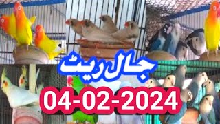Fabraury 4, 2024 Lalukhet Sunday Birds Market Jaal Rate Latest Updates Karachi Urdu\/Hindi