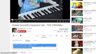 How to Upload a YouTube Video to Your Wiki Page How to Upload a YouTube Video to Your Wiki Page