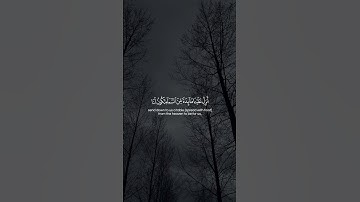 Surah Al-Maidah 114-115  سورة المائدة #quraniv #quran