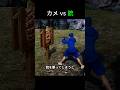 カメの甲羅に銃を撃つと