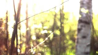 Lucidity - Worlds Within the World