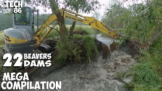 How To Remove 22 Beaver Dams With An Excavator In 30 Minutes  Beaver Dam Removal Epic Compilation