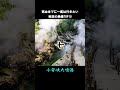 秋田の絶景TOP10