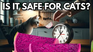 Can cats eat dragon fruit? Is dragon fruit safe for cats?