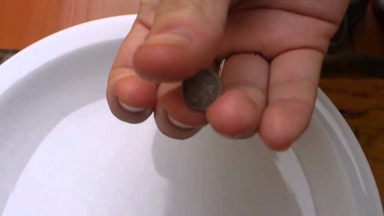 agosto que signo es Carlos IV 1/4 Real 1796-Lion and Castle