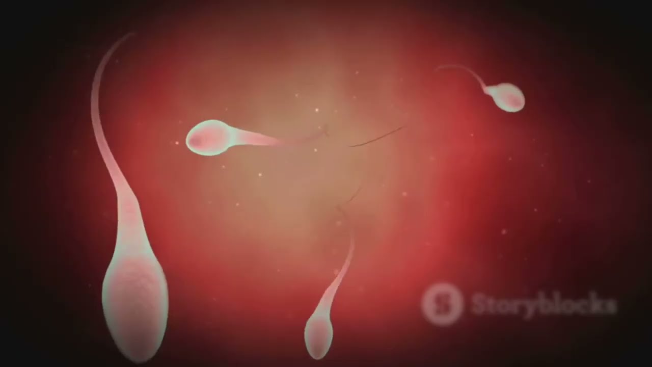 3D view million sperm. The Miracle of Life: Fertilization in Stunning 3D | Journey Inside the womb