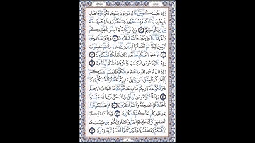 سورة البقرة صفحة8 بصوت القارئ أبو بكر الشاطري