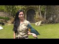 The Bird Show Has Officially Returned!