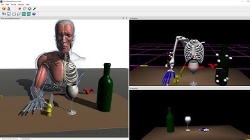 Musculoskeletal Hand Lab