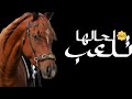 افخم شيلة رقص جديد 2024 تـــلـــعــــب لـــحــالــهــا شيله حماسي طراب 2024