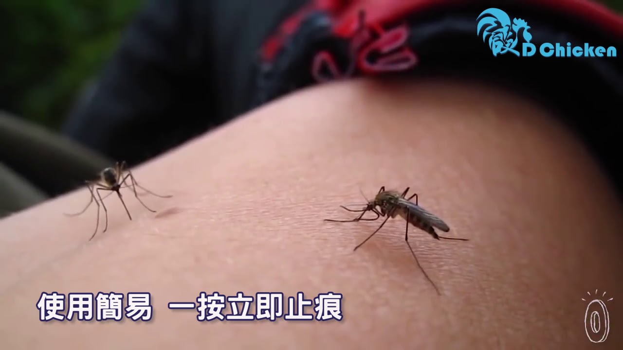 Почему укус комара. Укусы насекомых комаров.