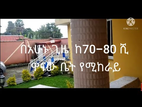 ቪዲዮ: የተከራየ መሬት እንዴት እንደሚገዛ