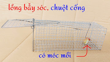 Bán lồng bẫy sóc, lồng bẫy chuột cống có móc treo mồi phía trong
