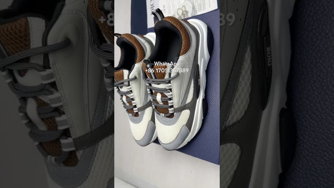 Dior B22 Sneaker 