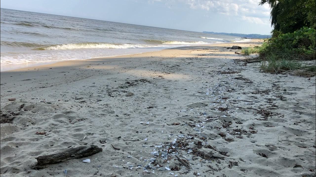 Ten Minutes of Scientist Cliffs Beach, Maryland YouTube