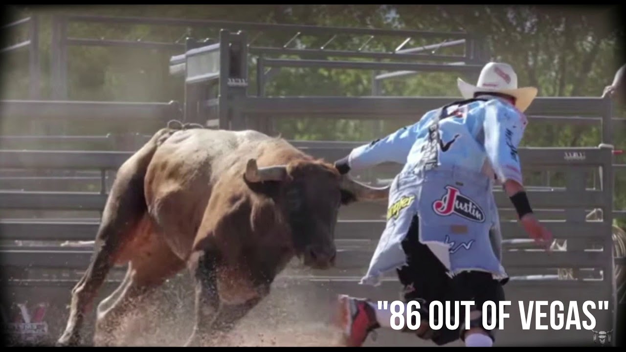 Bulls Hit Ranch Crooked Horn Ranch Fighting Bulls - 3 BULLS FOR SALE - YouTube