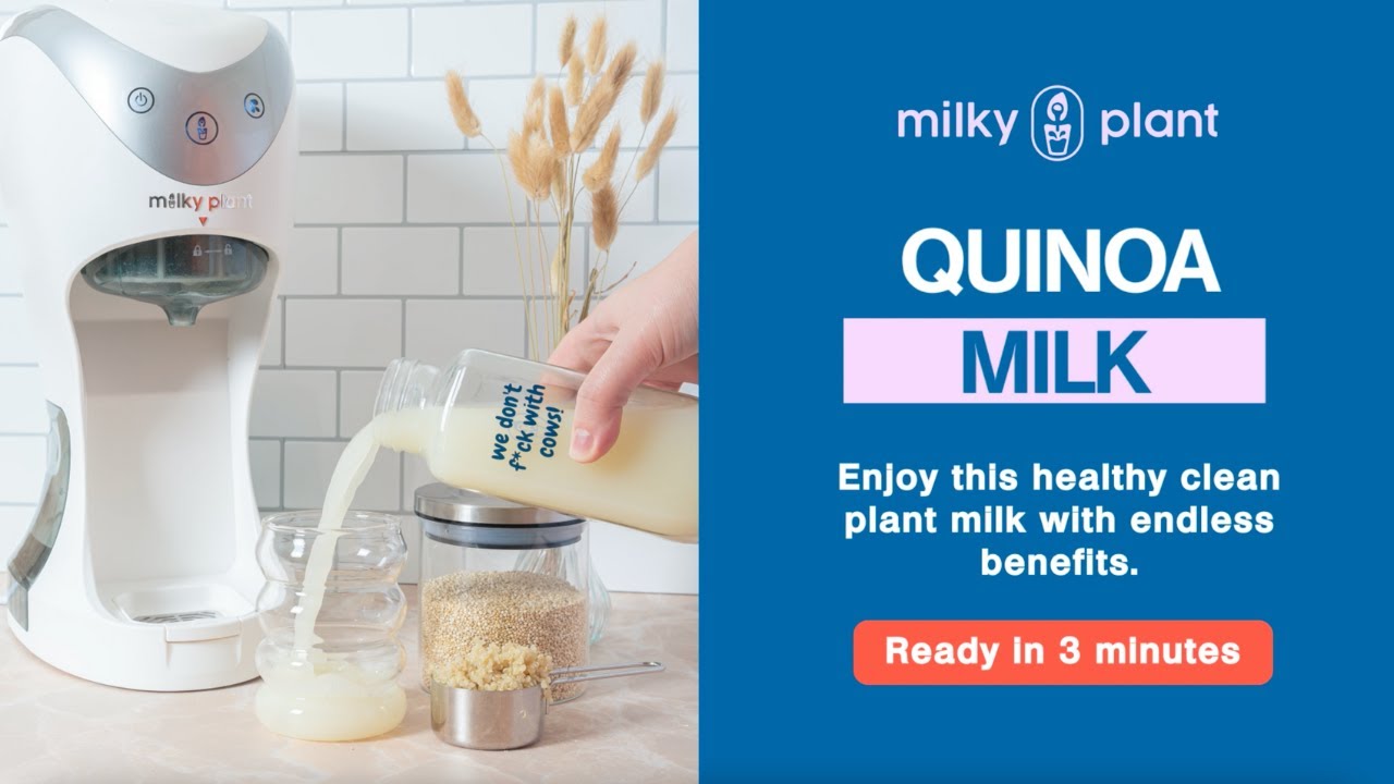 How To Make Quinoa Milk At Home Milky Plant Recipes YouTube