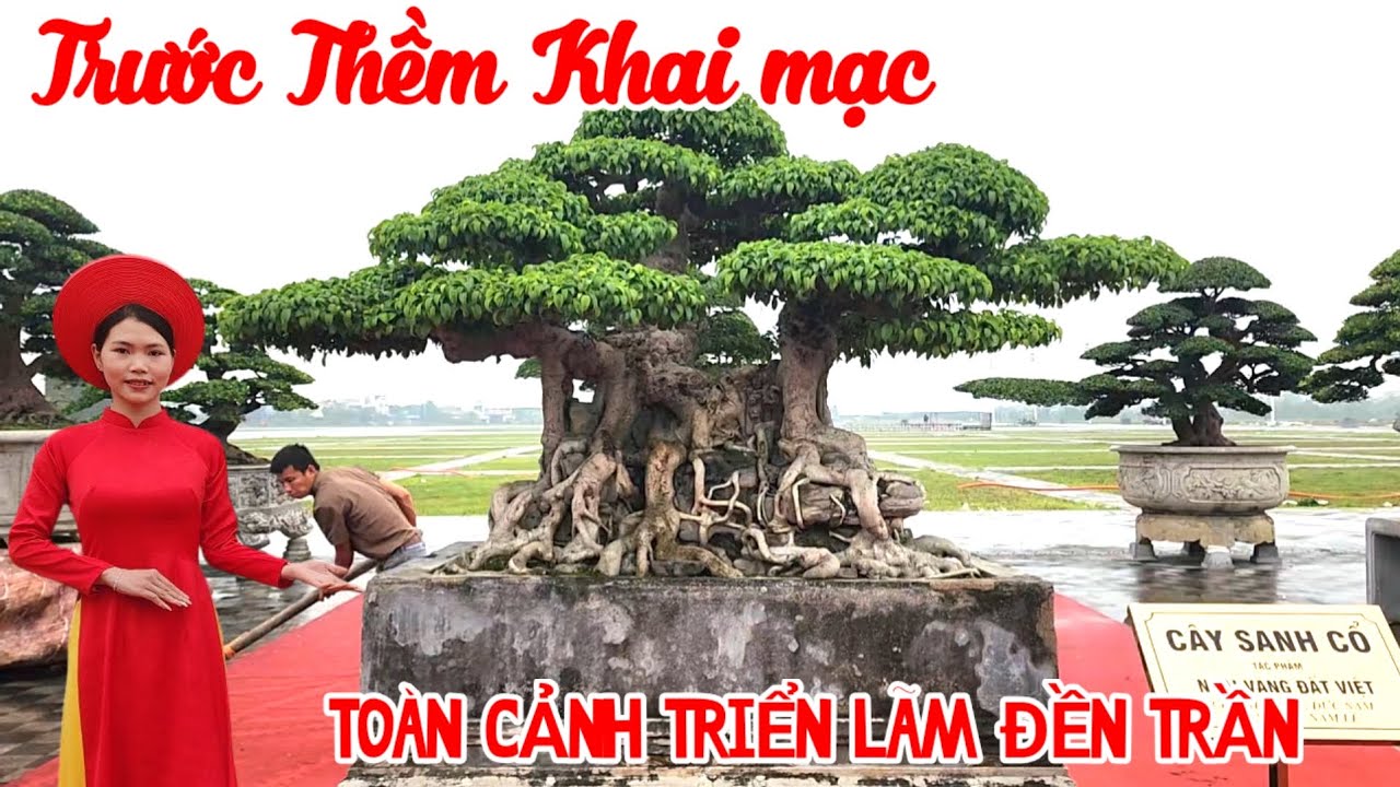 Toàn Cảnh Triển lãm lễ hội khai ấn Đền Trần Nam định trước giờ khai mạc 