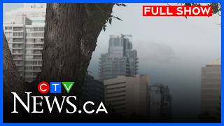 Storms affecting spread of Dutch elm disease | CTV News Edmonton at 11:30 for Aug. 4, 2026 screenshot 3