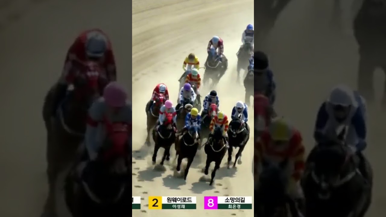 8번단승안되네요