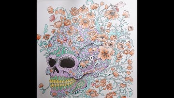 Adult Colouring Tutorial Skull Part 6 Insects - from Imagimorphia by Kerby Rosanes