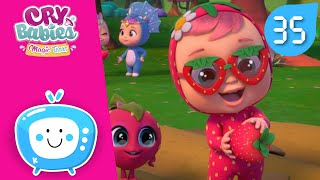 видео: 🍓 Каникулы Тутти Фрутти 🍓 Край Бебис 💧 Мэджик Тирс 💕 CRY BABIES 💧МУЛЬТИКИ для ДЕТЕЙ на РУССКОМ языке картинка: 🍓 Каникулы Тутти Фрутти 🍓 Край Бебис 💧 Мэджик Тирс 💕 CRY BABIES 💧МУЛЬТИКИ для ДЕТЕЙ на РУССКОМ языке