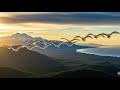 Wings Across the World 🌍 | A Cinematic Bird Journey Through Nature 