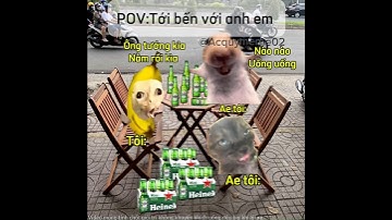 Tới bến với anh em #pets #funny #cat #meme #hàihước