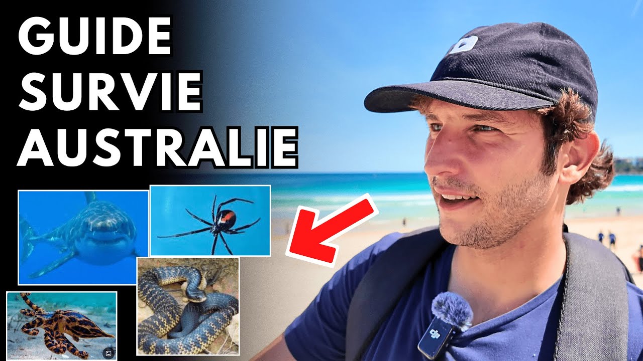 Comment SURVIVRE en Australie ? Par un Franco-Australien (araignées, serpents, requins ...)