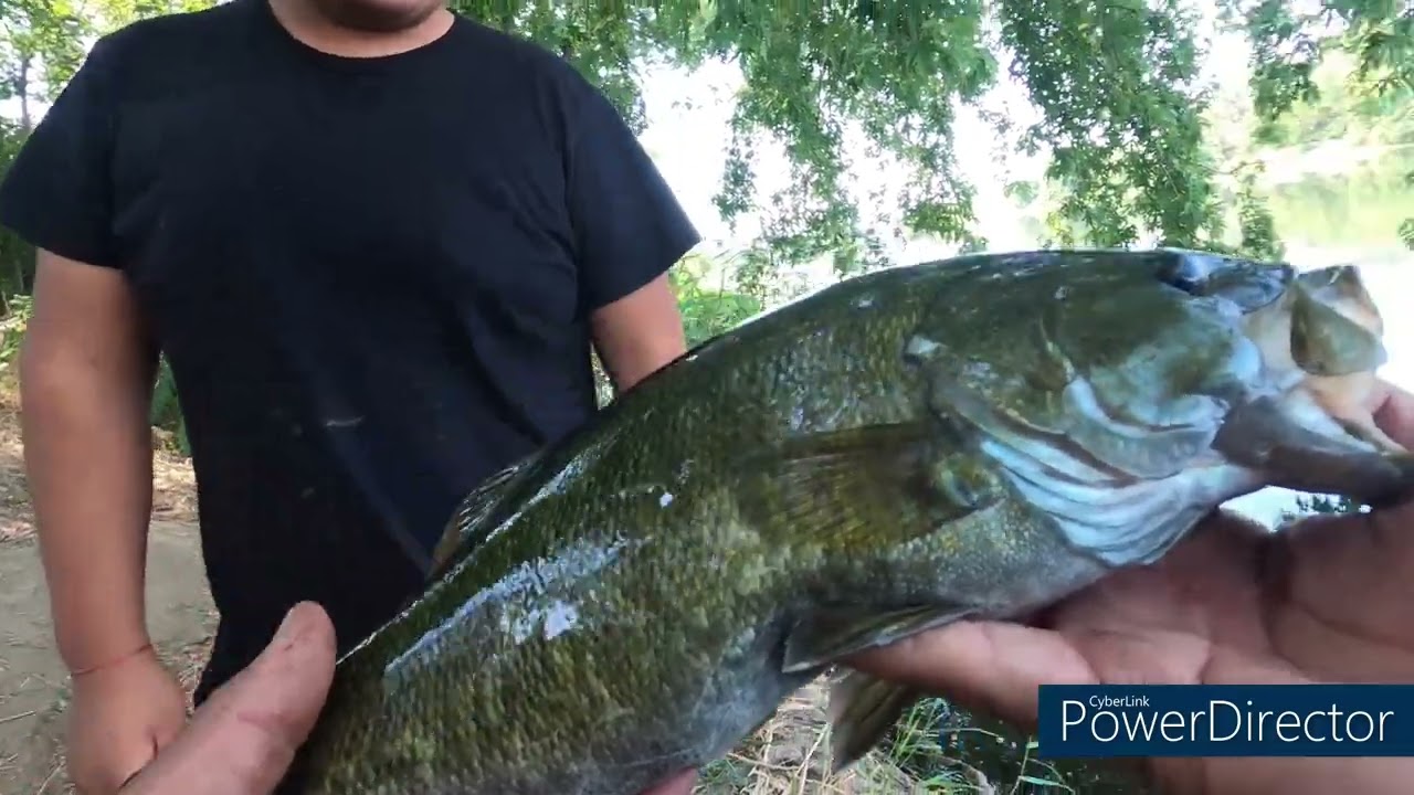 Bass Fishing Prosser Wahington