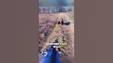 When a Bear Meets a Gun#animals #wildlife #help #bear