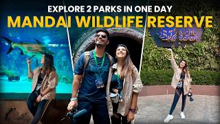 This Happens Only In Singapore  Day 1 Night Safari & River Wonders | Mandai Wildlife Reserve