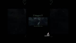 Nagini  I Couldnt Resist harrypotter voldemort snake funny comedy luray luray