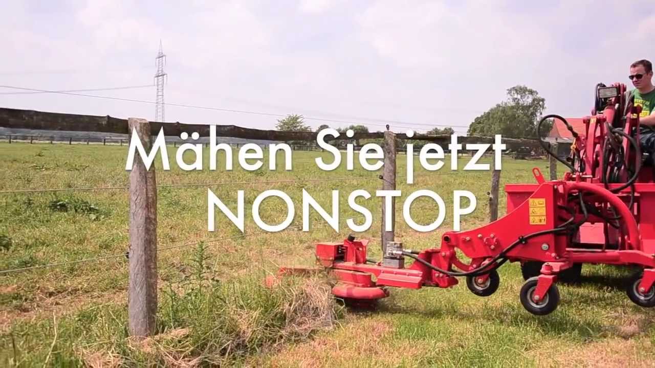 Kneilmann - Zaunkönig