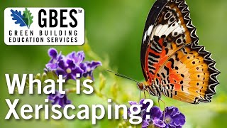 What Is Xeriscaping? - Continuing Education Clips