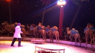 Cirkus Humberto 2022