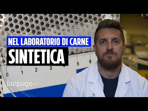Viaggio nel laboratorio di carne sintetica a Tor Vergata: "Per la bistecca ancora qualche anno" Episode cover