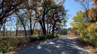 Autumn at the Arboretum
