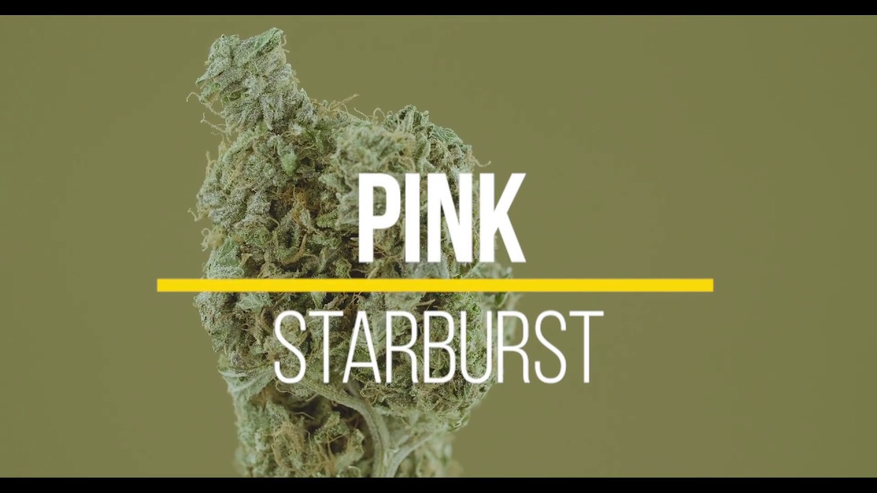 Pink Starburst Video Review
