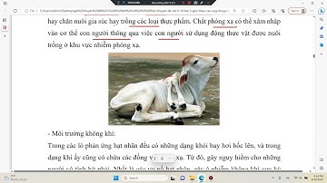 Bài 3. Giới thiệu các ứng dụng của Vật lí trong một số ngành nghề. Vật lí 10 KNTT