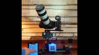 MDK V5 + Dynamic Perception NMX Test
