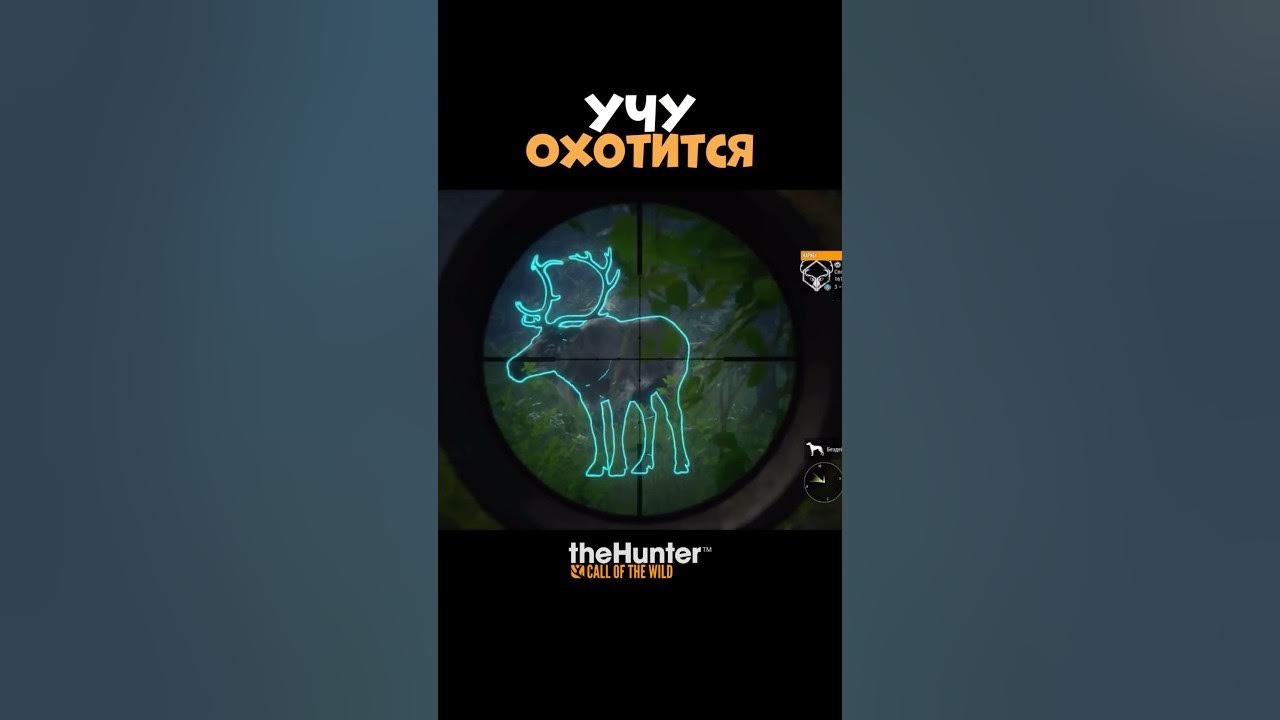 Hunter: охотник - по следу хищника, the. Way of the hunter где нати барибалов. Охота. Путь охотника. Игра the hunter скриншот.
