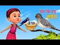Popular nepali rhymes chir bir garcha bhagera       kids song 